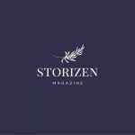 storizen favicon