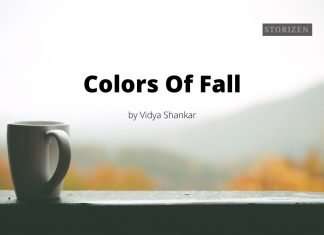Colors of Fall – A Short Story by Vidya Shankar colors of fall a short story by Vidya shankar