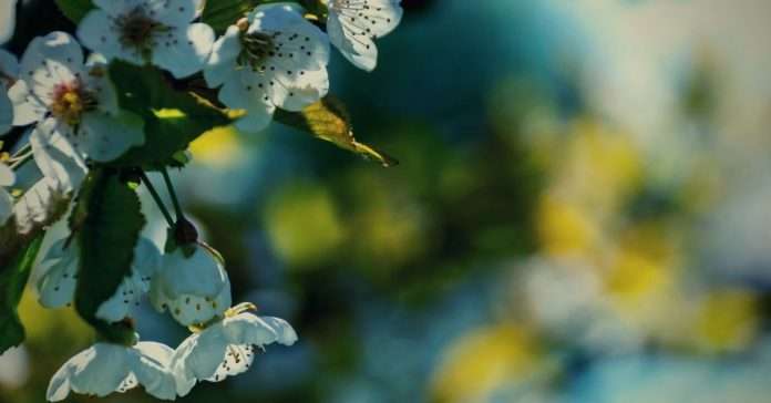 Those were the days by Ayushi Singh-min