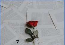 7 Romantic Novels to Fall in Love