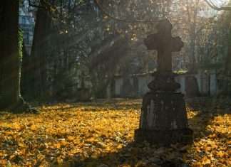 The Colour of My Father’s Death death