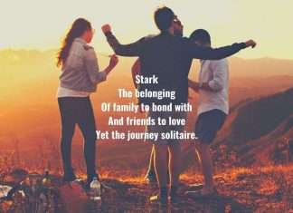 My Life - An Odyssey b Vidya Shankar