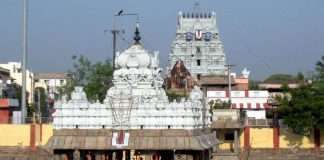 Parthasarathy Swami temple (1)