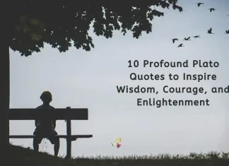 Plato Quotes