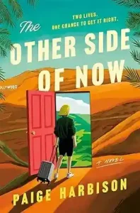 The Other Side of Now by Paige Harbison