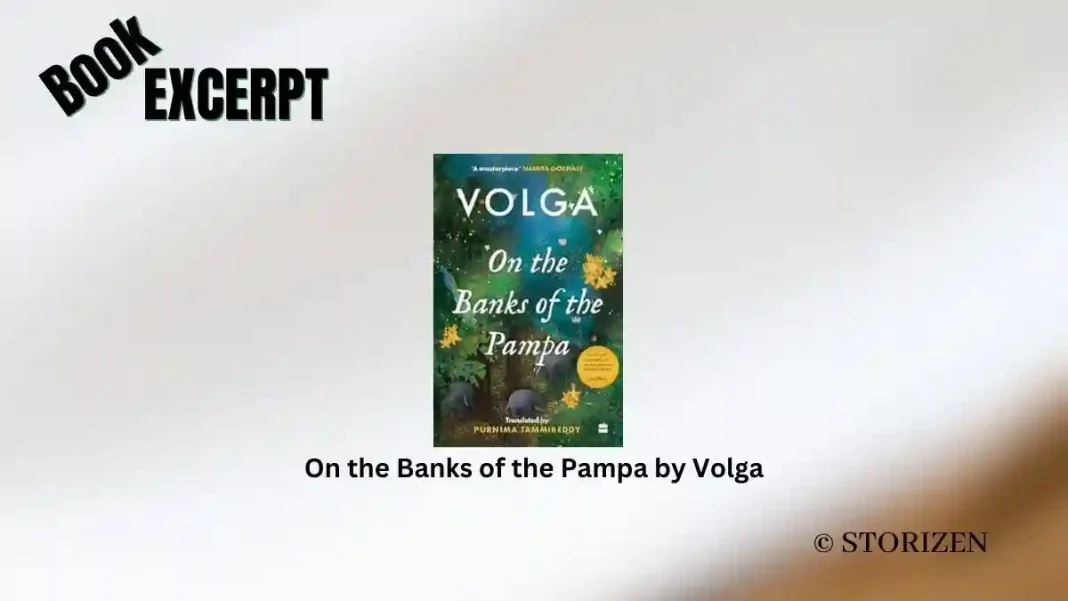 On the Banks of the Pampa by Volga Book Excerpt Storizen