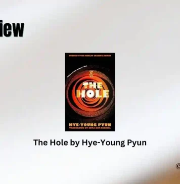 The Hole by Hye-Young Pyun Book Review Storizen