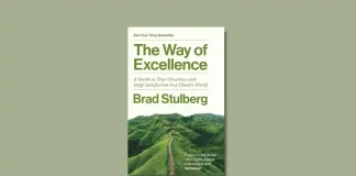 The Way of Excellence by Brad Stulberg Book Review