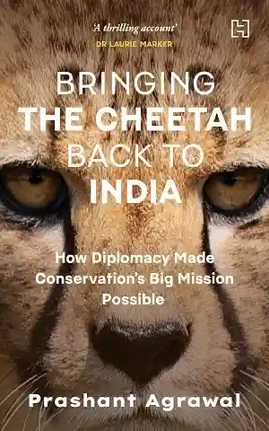 Bringing the Cheetah Back to India by Prashant Agrawal