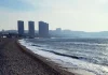The Pressure Cooker, the Trees, and the Address Card Coastal Pebble Beach with Modern City High-Rise Skyline
