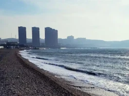 The Pressure Cooker, the Trees, and the Address Card Coastal Pebble Beach with Modern City High-Rise Skyline