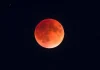 August 28, 2026 Lunar Eclipse Horoscope & Tarot Predictions for All Zodiac Signs Lunar Eclipse August 28, 2026 Horoscope & Tarot Predictions for All Zodiac Signs