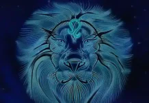 Leo Compatibility with All Zodiac Signs