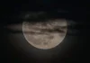 September 19, 2026: Radha Ashtami Meets Sagittarius Moon for a Weekend Reset Radha Ashtami Meets Sagittarius Moon for a Weekend Reset