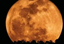 Hunter’s Moon in Taurus (October 25 - 26, 2026)