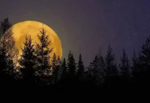 Post-Full Moon Integration: 3 Zodiac Signs Receiving a Breakthrough Realization Today (October 28, 2026) Post-Full Moon Integration