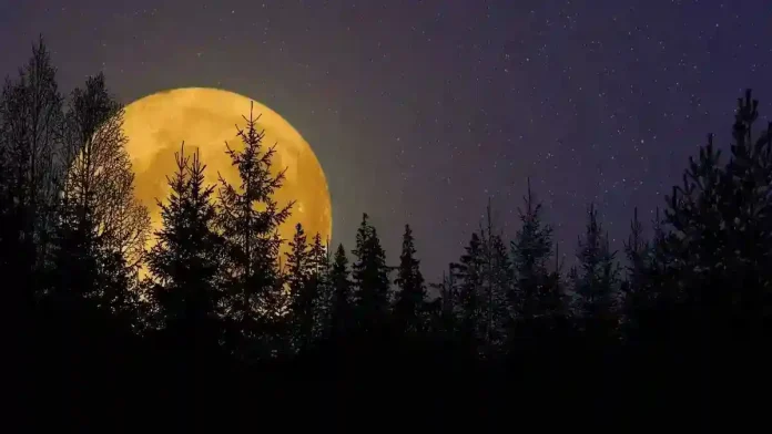 Post-Full Moon Integration